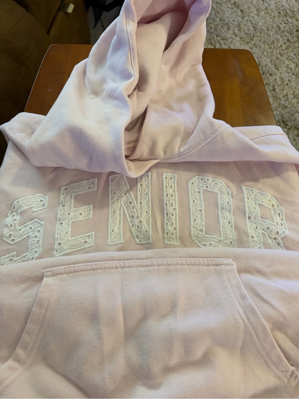 Hollister Pale Pink 'SENIOR' Eyelet Embroidered Pullover Hoodie